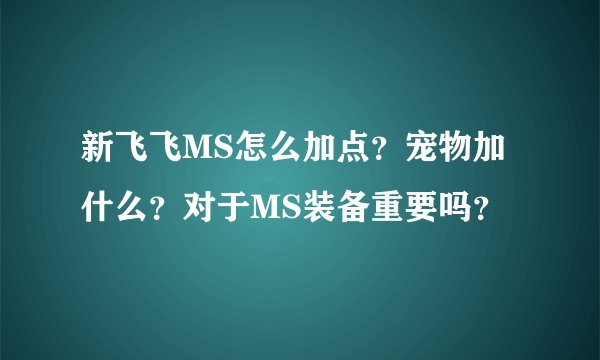 新飞飞MS怎么加点？宠物加什么？对于MS装备重要吗？