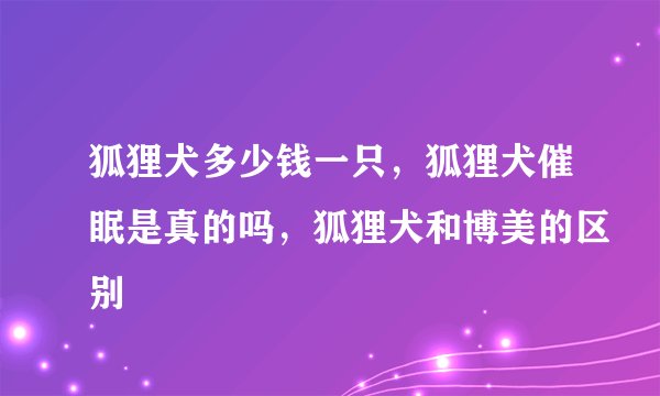狐狸犬多少钱一只，狐狸犬催眠是真的吗，狐狸犬和博美的区别