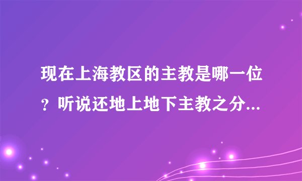 现在上海教区的主教是哪一位？听说还地上地下主教之分，是什么意思？？？