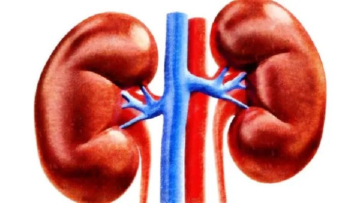 先天性囊性肾病有哪些典型症状