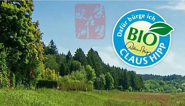 有机奶粉哪个牌子好？