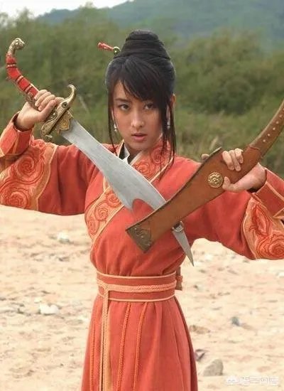 碧血剑十大高手