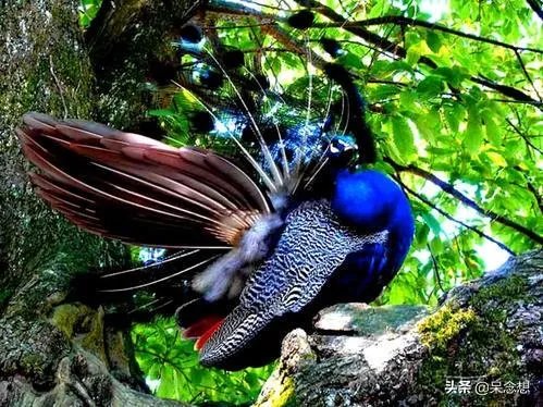 出联（1079）上联：中华腾飞，巾帼英雄创大业，如何对下联？