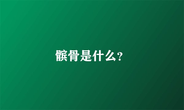 髌骨是什么？