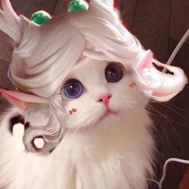 《王者荣耀》猫咪接头头像大全