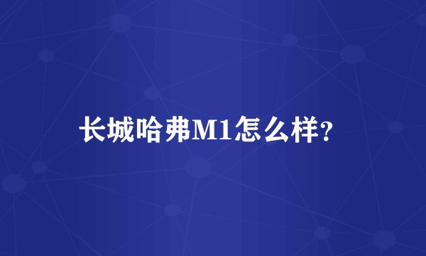 长城哈弗M1怎么样？