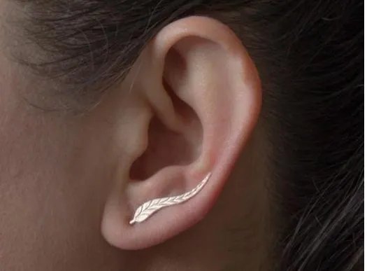 在人的五官中哪个器官最怕冷？