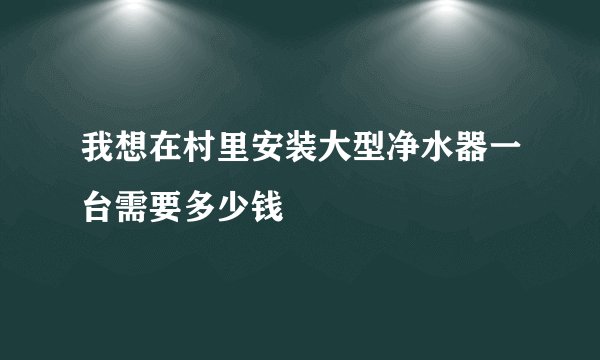 我想在村里安装大型净水器一台需要多少钱