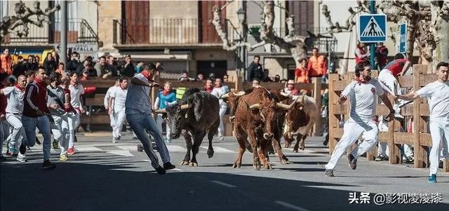 你觉得电影《使徒行者2》怎么样,有何亮点和不足?
