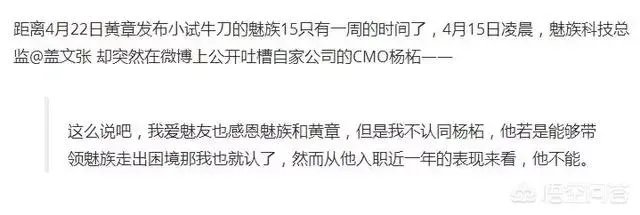 魅族的内讧，会给魅族带来哪些不良反应？