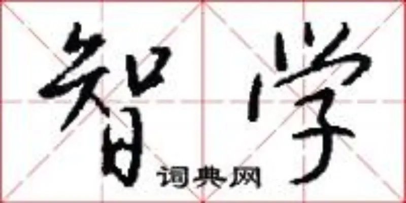 智学