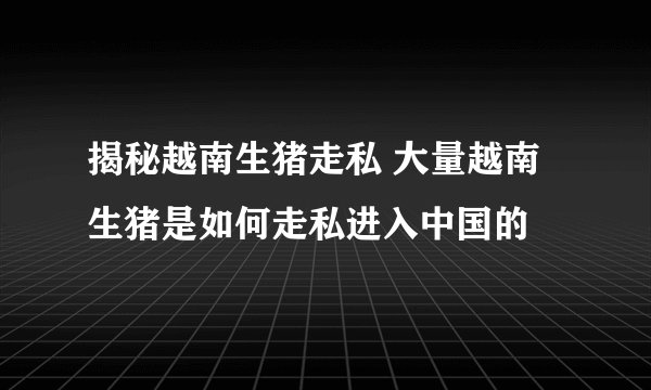 揭秘越南生猪走私 大量越南生猪是如何走私进入中国的