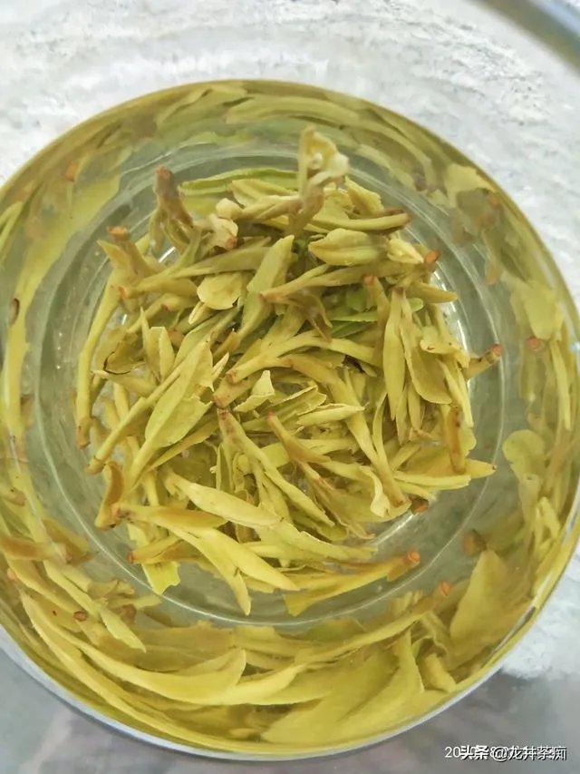 茶叶店熬一熬真的能好了吗?未来发展如何?