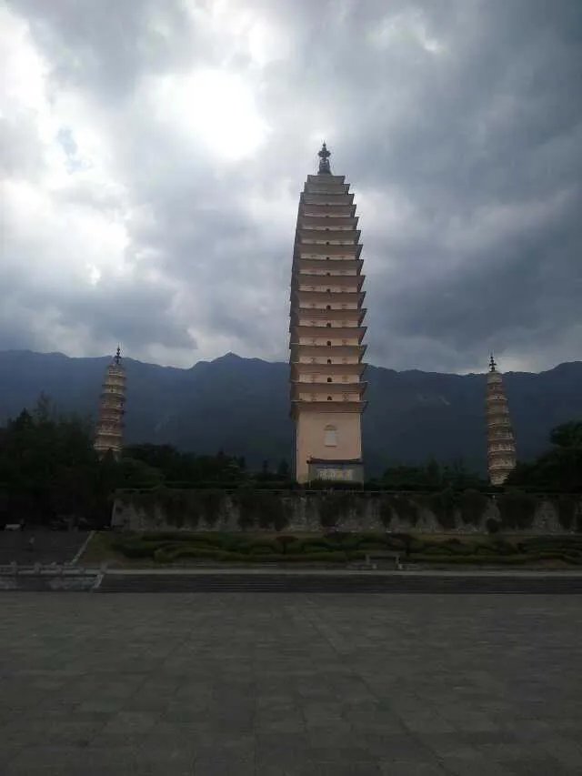 大理首次发现极危物种云南木莲, 你怎么看？