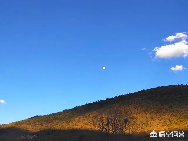 你人生中经历过最难接受的事是什么？