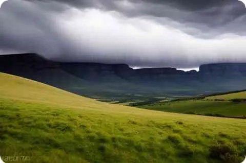 黄鸿升详细资料大全