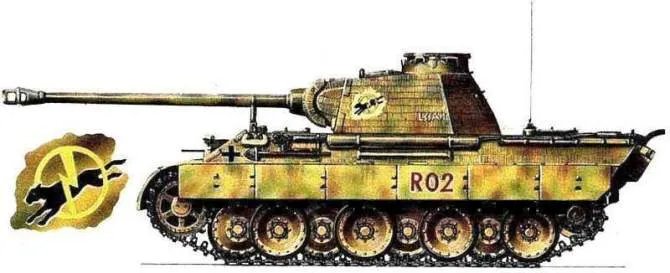 恩斯特·巴克曼的豹中王者