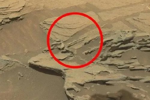 火星上也惊现金属圆盘，是外星人的遗留物吗？