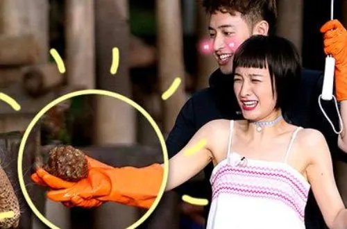 2017年综艺节目排行榜有哪些？