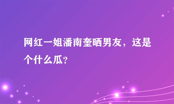 网红一姐潘南奎晒男友，这是个什么瓜？