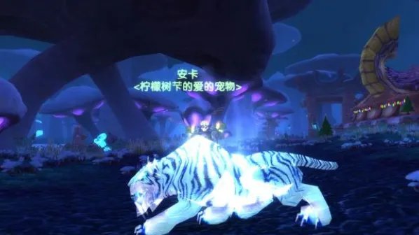 魔兽世界灵魂兽大角坐标