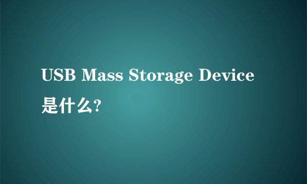 USB Mass Storage Device是什么?