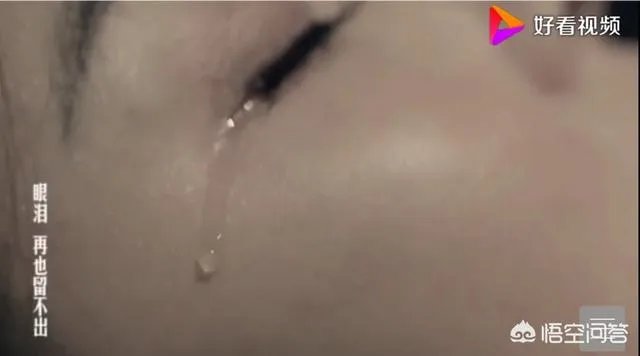 初闻不知曲中意，再闻已是曲中人，哪首歌让你痛哭流涕？