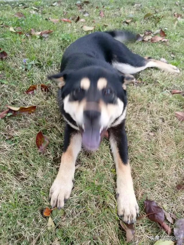 谁手机里有美女美景图片，能不能分享让大家看看？