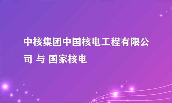中核集团中国核电工程有限公司 与 国家核电