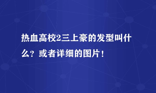 热血高校2三上豪的发型叫什么？或者详细的图片！