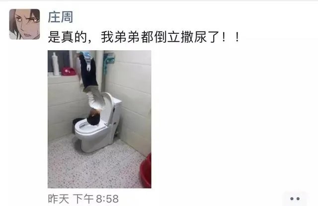 昨天“立扫把”，今天倒立上厕所？沙雕网友的脑洞有多大！