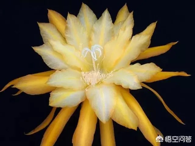 你人生中经历过最难接受的事是什么？