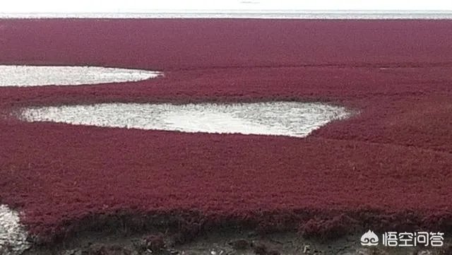 国庆最适合旅游的地方都有哪些？