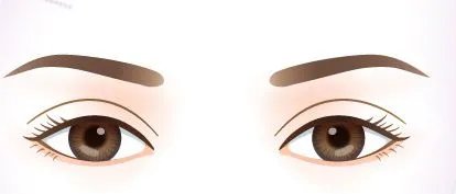 双眼皮全切多少钱啊