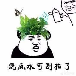 给多肉浇水的秘诀是什么？