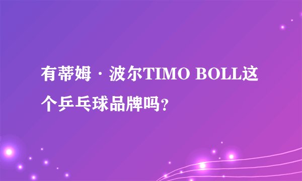 有蒂姆·波尔TIMO BOLL这个乒乓球品牌吗？