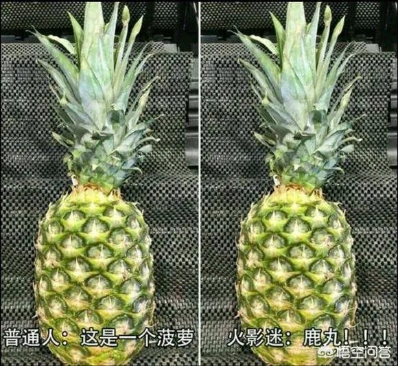 普通人与火影迷有什么区别？