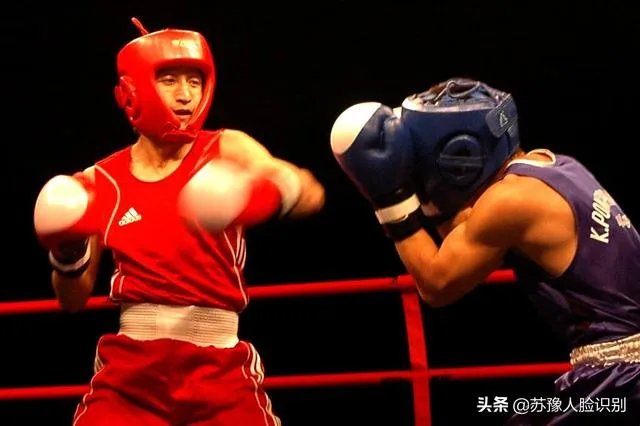 张伟丽和邹市明在各自领域的巅峰时期，谁的影响力更大？谁收入更多？