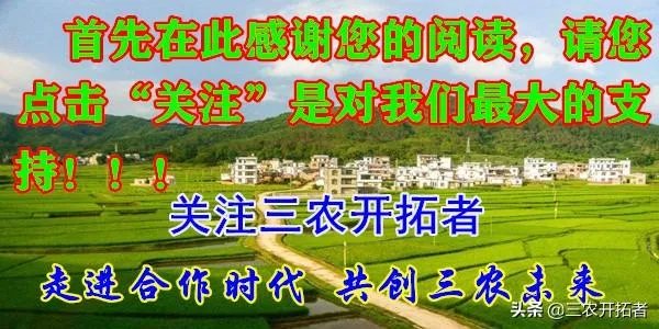 网购农产品和当地市场买有啥区别？