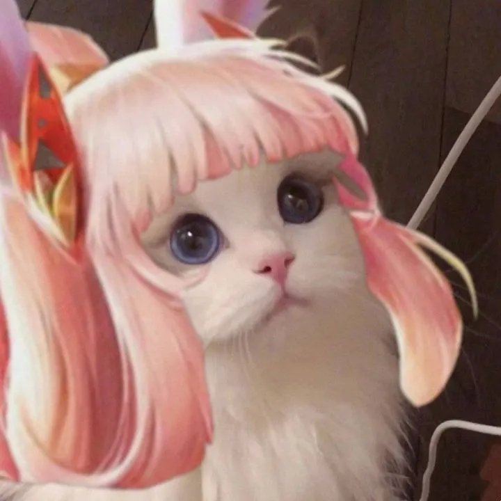 《王者荣耀》猫咪接头头像大全