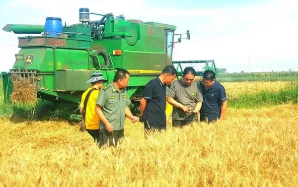 三夏生产作业是什么