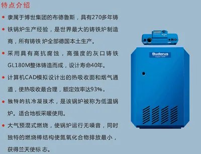 布德鲁斯的公司简介