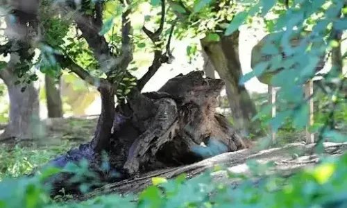 新疆乌鲁木齐有哪些特色？