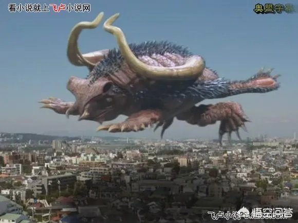 麦克斯奥特曼所有bug级怪兽有哪些？