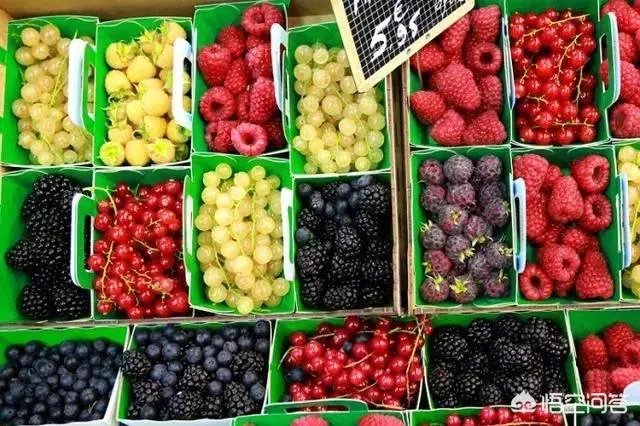 水果价格猛涨，果农还是没钱赚？如何实现利润最大化？