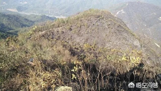 珠海凤凰山景区环境怎么样？值得一游吗？