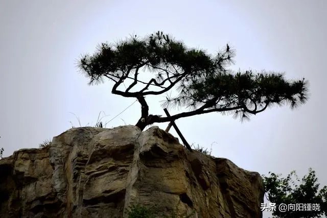 朋友们都说说2019年的最后一天你打算怎么过吧？