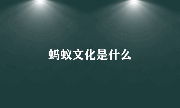 蚂蚁文化是什么