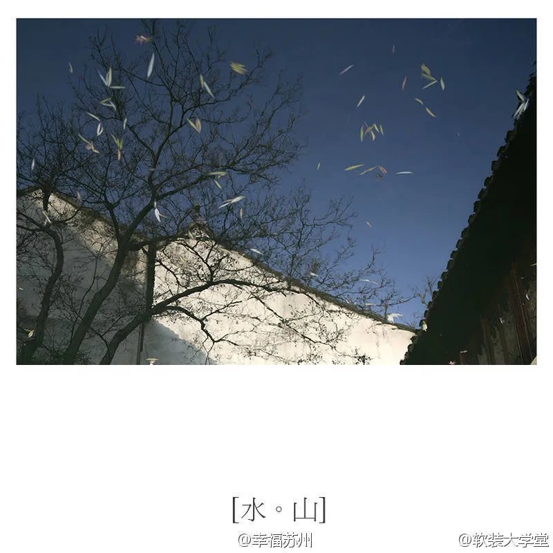 【拙政园-碎片】❤文人，墨客，初冬的拙政园。