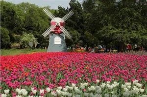 南京有哪些地方值得摄影师去拍照?